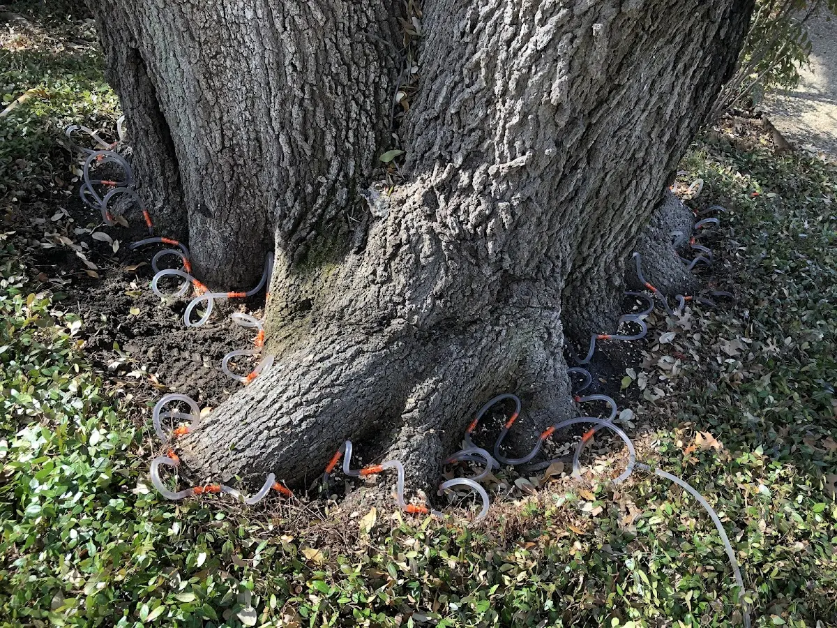 Detailed Shrub and Hedge Trimming job site in Benzonia
