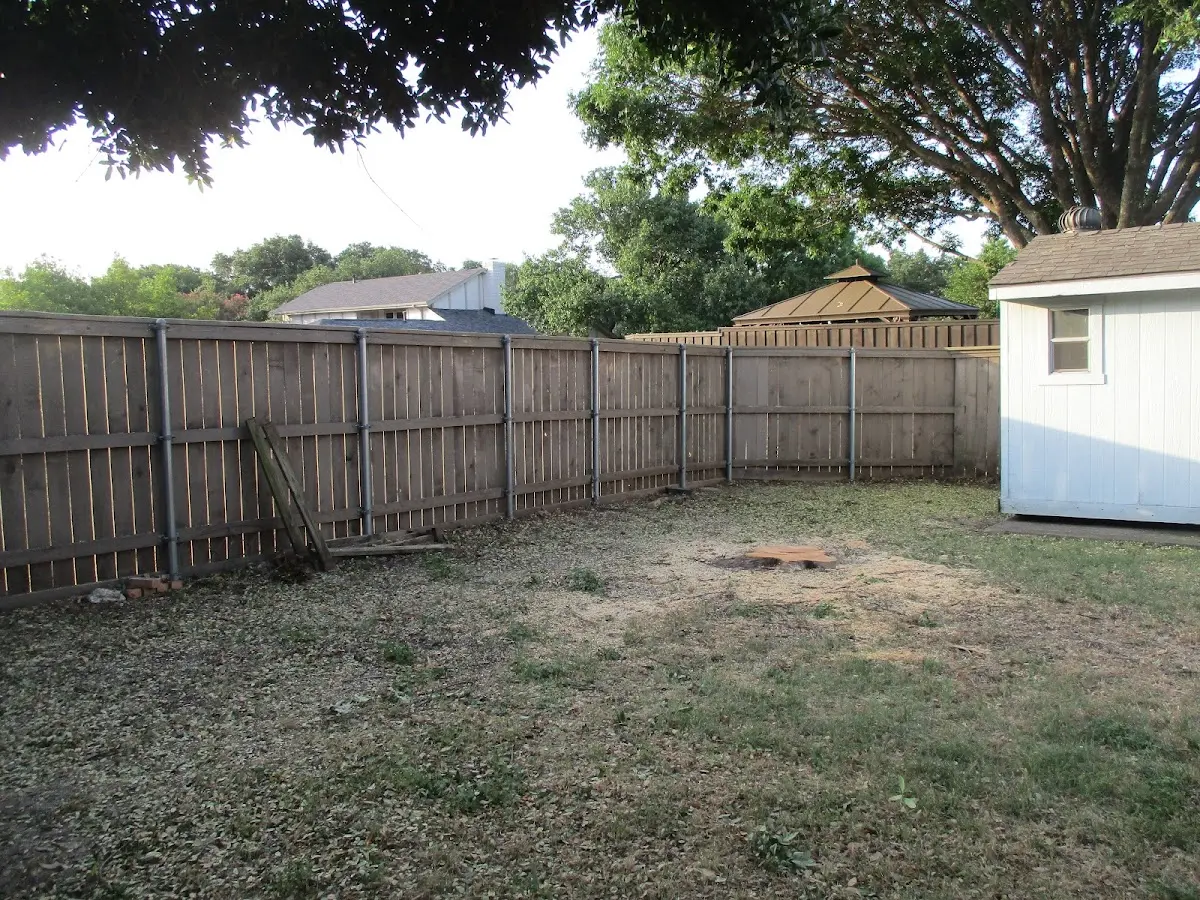 Cleared yard after professional tree removal in Benzonia